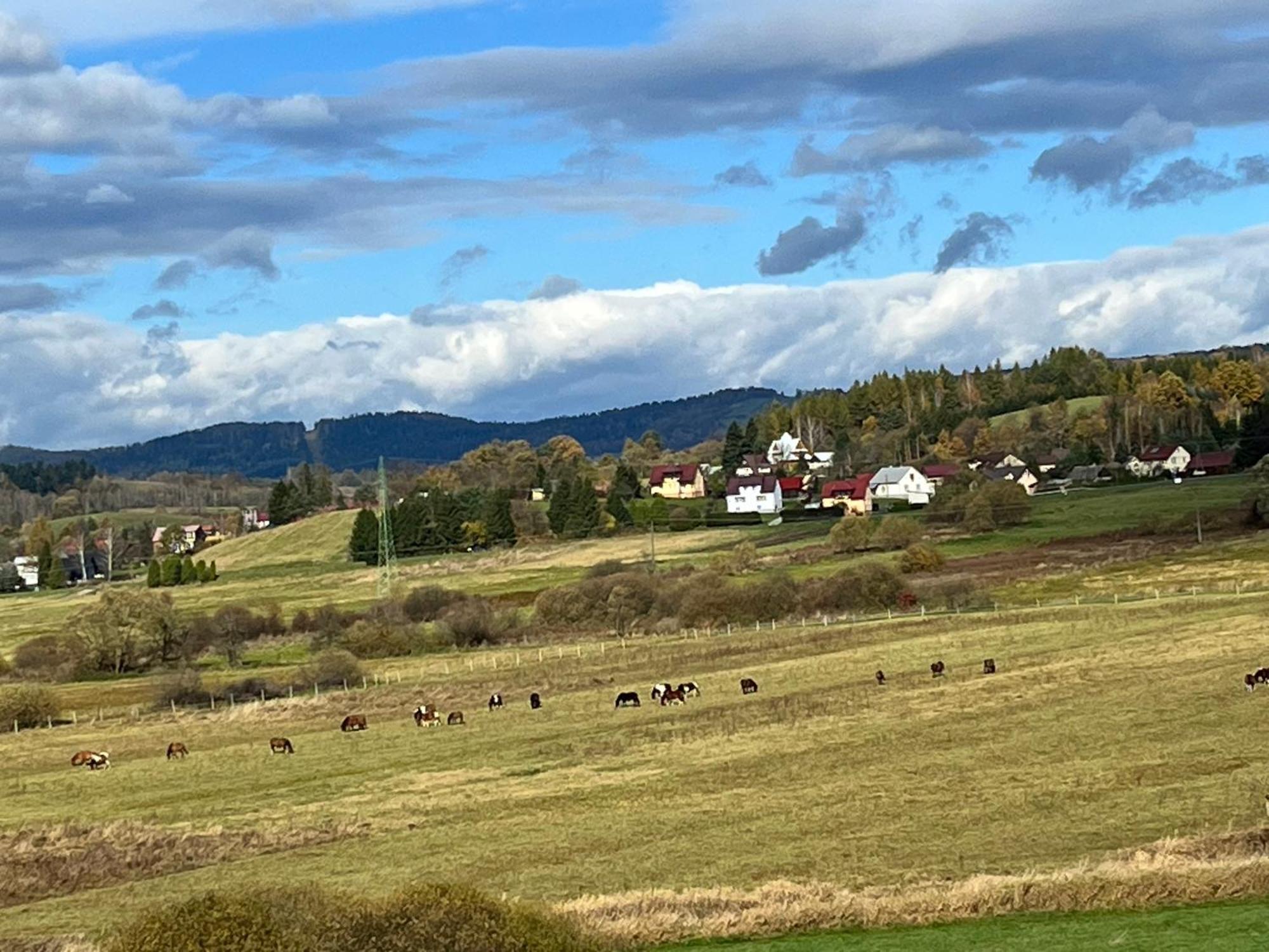 Domki nad Stawem Uherce Uherce Mineralne Zewnętrze zdjęcie