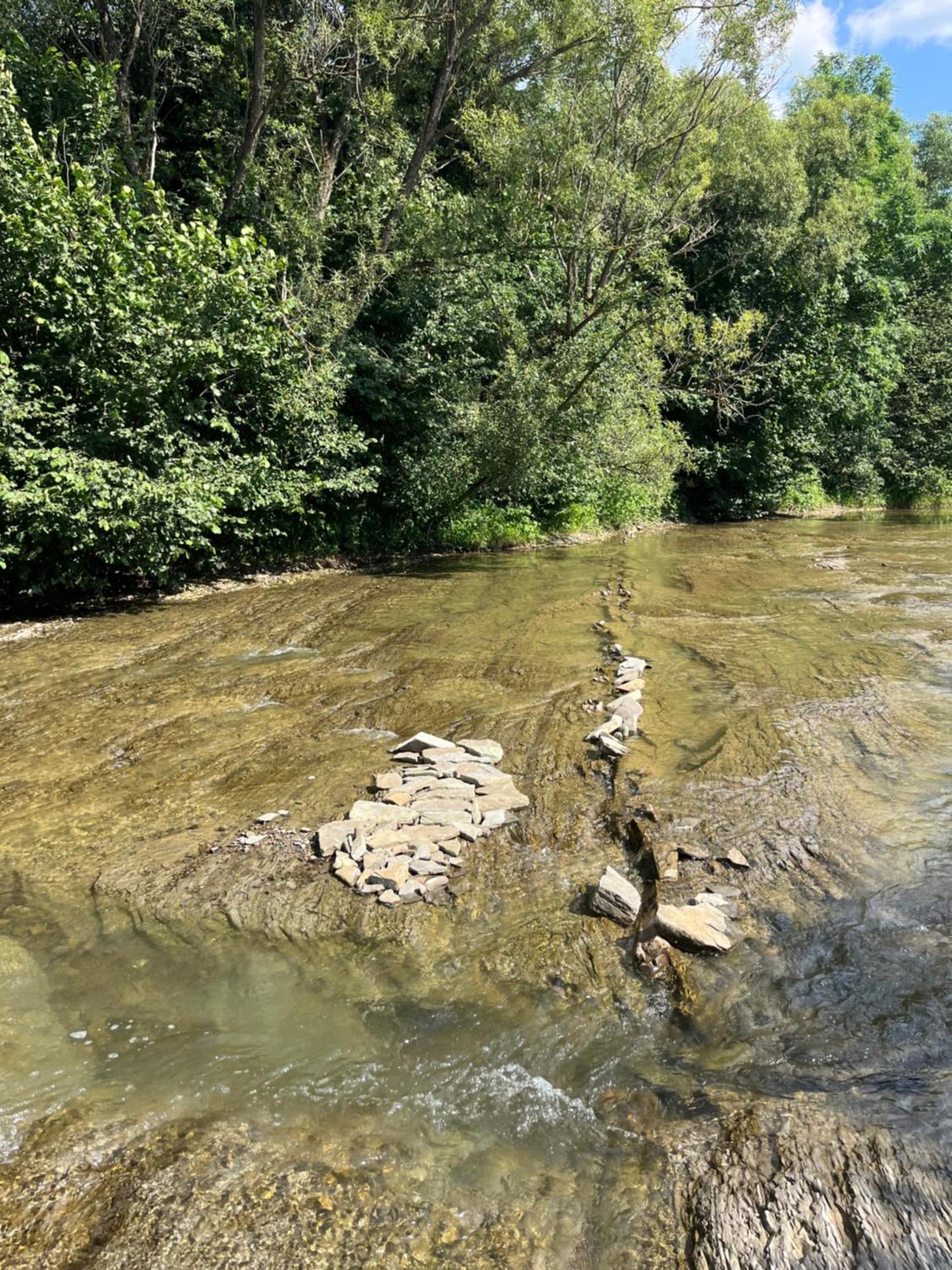 Domki nad Stawem Uherce Uherce Mineralne Zewnętrze zdjęcie